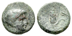 Lucania, Metapontum Bronze circa 300-250 - Ex Naville Numismatics sale 87, 54. (Starting Bid £ 1)