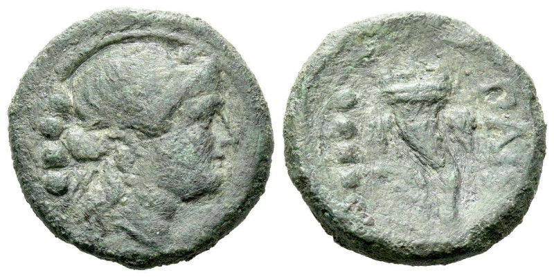 Lucania, Paestum Triens circa 218-201, Æ 17.00 mm., 4.30 g.

About VF