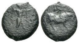 Lucania, Poseidonia Bronze circa 350-290 (Starting Bid £ 1)