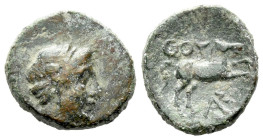 Lucania, Thurium Bronze circa 280-213 - Ex Naville Numismatics sale 87, 67. (Starting Bid £ 1)