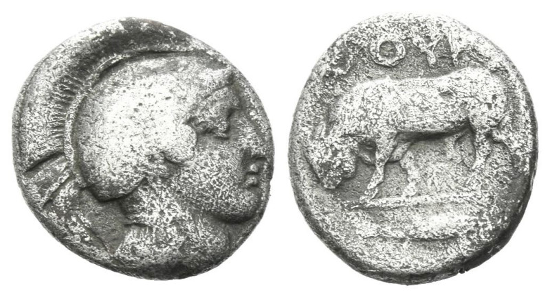 Lucania, Thurium Diobol circa 350-300, AR 12.00 mm., 1.07 g.

About VF