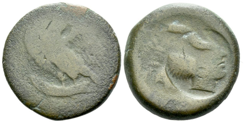 Sicily, Agrigentum Hemilitron circa 405-392, Æ 26.00 mm., 13.10 g.

About VF
...