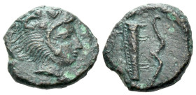 Sicily, Selinus Hemilitron circa 412-409 (Starting Bid £ 1)