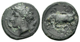 Sicily, Syracuse Bronze circa 317-289 - Ex Naville Numismatics sale 53, 52. From the E.E. Clain-Stefanelli collection. (Starting Bid £ 1)