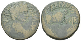 Hispania, Calagurris Tiberius, 14-37 As I century - (Starting Bid £ 1)