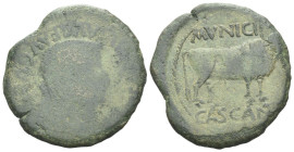 Hispania, Cascantum Tiberius, 14-37 As I century - Privately purchased from Seaby in September 1960. (Starting Bid £ 1)
