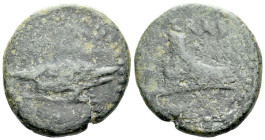 Crete, Cnossus (?) Crassus Bronze circa 37-36 (Starting Bid £ 1)