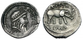 CAECILIA. Denario. África (47-46 a.C.). R/ SCIPIO; en el exergo: ROMA. FFC-220. SB-47. Vano en anv. MBC.
