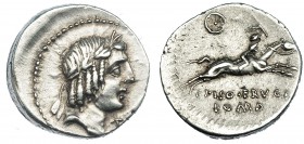 CALPURNIA. Denario. Roma (90-89 a.C.). R/ L. PISO FRVGI/ROMA. Anv. ligeramente descentrado. FFC-234. SB-12. MBC+.