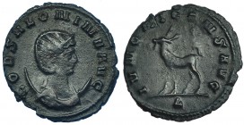SALONINA, esposa de Galieno. Antoniniano. Roma (267-268). R/ Gacela a izq. RIC-16. CH-70. MBC-.