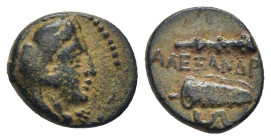 Kings of Macedon, Alexander III ‘the Great’ (336-323 BC) AE uncertain mint in Macedon.(12mm, 1.6 g) Obv: Head of Herakles to right, wearing lion skin ...