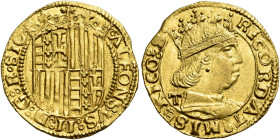 Napoli. Alfonso II d’Aragona, 1494-1495 

Ducato, AV 3,50 g. ALFONSVS II R SIC Stemma coronato, inquartato di Napoli (Ungheria-Angiò-Gerusalemme) al...