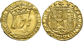 Napoli. Ferdinando il Cattolico, 1504-1516 

Ducato, AV 3,42 g. FERNANDVS – D G R AR V SI Busto coronato a d. Rv. FERDINANDVS D G R AR V S Stemma co...