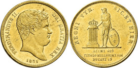 Napoli. Ferdinando II di Borbone, 1830-1859 

Da 15 ducati 1831, AV 18,91 g. Pagani 147. Pannuti-Riccio 17. MIR 490. Friedberg 867. Molto rara. Colp...