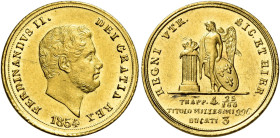 Napoli. Ferdinando II di Borbone, 1830-1859 

Da 3 ducati 1854, AV 3,78 g. Pagani 186. Pannuti-Riccio 52. MIR 498/3. Friedberg 869. q.Fdc