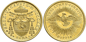 Sede Vacante (Camerlengo card. Francesco Galleffi), 30 novembre 1830 – 2 febbraio 1831. 

Doppia romana 1830, AV 5,46 g. Pagani 151. Muntoni 1. MIR ...