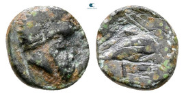 Mysia. Pordosilene circa 400-380 BC. Bronze Æ