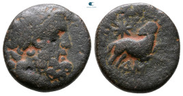 Seleucis and Pieria. Antioch. Pseudo-autonomous issue. Time of Augustus 27 BC-AD 14. Bronze Æ