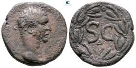 Seleucis and Pieria. Antioch. Nerva AD 96-98. Bronze Æ