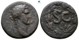 Seleucis and Pieria. Antioch. Nerva AD 96-98. Bronze Æ