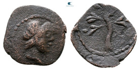 Palmyrene. Palmyra. Pseudo-autonomous issue AD 50-250. Bronze Æ