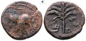 Judaea. Bar Kochba Revolt AD 132-135. Bronze Æ