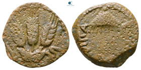 Judaea. Jerusalem. Herodians. Agrippa I AD 37-43. Prutah Æ