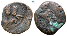 Judaea. Jerusalem. Herodians. Agrippa I AD 37-43. Prutah Æ