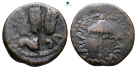 Judaea. Jerusalem. Herodians. Agrippa I AD 37-43. Prutah Æ