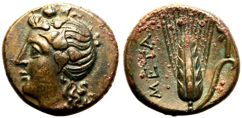 MAGNA GRAECIA. LUCANIA, METAPONTION. 
Bronze ae15, circa 300-250 BC. 
Obv: ivy...