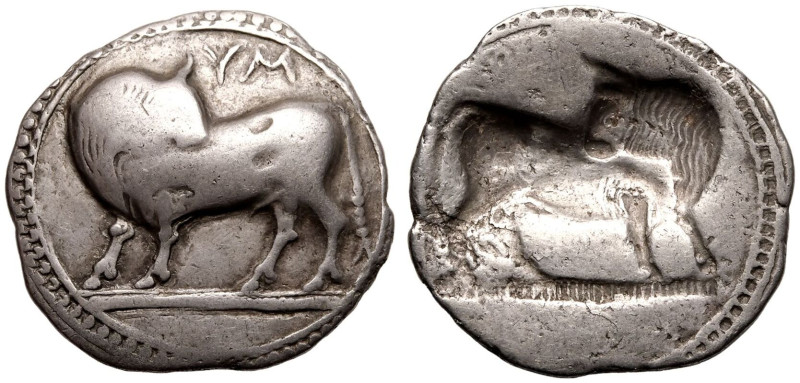 MAGNA GRAECIA. LUCANIA, SYBARIS. 
Silver stater, circa 530-510 BC. 
Obv: bull ...