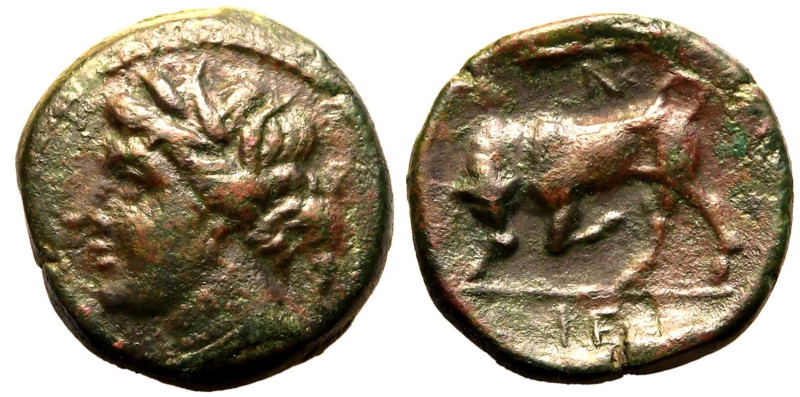 MAGNA GRAECIA. SICILY, SYRACUSE. temp. Hieron II. 
Bronze ae18, circa 274-216 B...