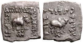 Indo-Greek Kingdom, Apollodotos I 'Soter' AR Drachm