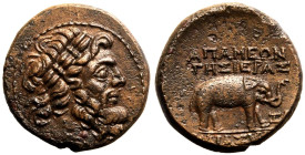 Seleukis and Pieria, Apameia Æ21