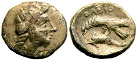 Skythia, Olbia Æ17