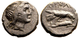 Skythia, Olbia Æ16