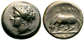 Thessaly, Larissa Æ Dichalkon