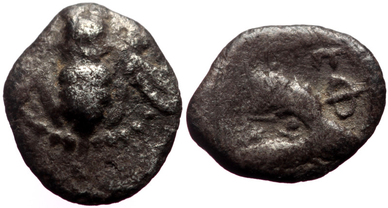 Tetartemorion AR
Ionia, Ephesos
7 mm, 0,16 g