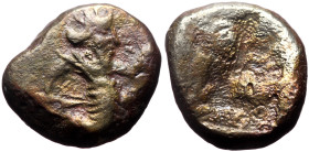 Siglos AR
Persia, Achaemenid Empire, Sardeis, time of Darios I to Xerxes II (485-420 BC)
15 mm, 4,64 g