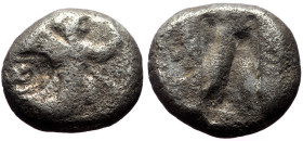 Siglos AR
Persia, Achaemenid Empire, Sardeis, time of Darios I to Xerxes II (485-420 BC)
15 mm, 5,27 g