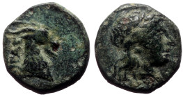 Bronze Æ
Aeolis, Aigai, 3rd century BC, Laureate head of Apollo right / Goat head right
10 mm, 1,02 g
SNG von Aulock 1593