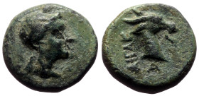 Bronze Æ
Aeolis, Aigai, 3rd century BC, Laureate head of Apollo right / Goat head right
9 mm, 1,01 g
SNG von Aulock 1593