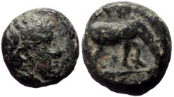 Bronze Æ
Troas, Alexandreia, c. 300-100 BC
11 mm, 1,60 g