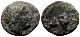 Bronze Æ
Troas, Neandria, 4th century BC, Laureate head of Apollo r.
NEAN, Grain ear; grape bunch to r.
10 mm, 1,55 g
SNG Ashmolean 1175