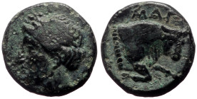 Bronze Æ
Ionia, Magnesia ad Maeandrum, c. 350-190 BC., Laureate head of Apollo l., MAΓ, Forepart of bull r.
10 mm, 1,34 g
SNG Copenhagen 802; SNG M...