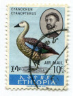 Ethiopia 1967, 10c., „Birds” out of set (1/5), Michel 564/8