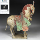 Chinese, Tang dynasty statuette of a horse with Thermoluminescence test (TL)