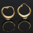 Roman earrings (pair)