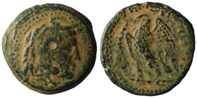 Ptolemaic Kingdom. Ptolemy II. Philadelphos. (260-246 BC). Æ Obol. Alexandria. artificial sandpatina. 25mm, 8,63g