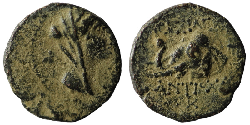Seleucid Kingdom. Antiochos IV. Epiphanes. (175-164 BC). Bronze Æ. Antioch. arti...